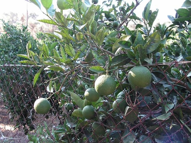 ferie kreta 05 148.jpg